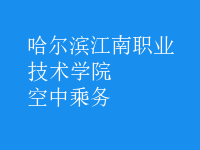 空中乘務(wù)