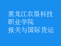 報(bào)關(guān)與國(guó)際貨運(yùn)