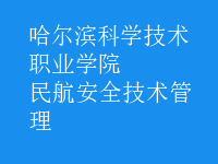 民航安全技術(shù)管理