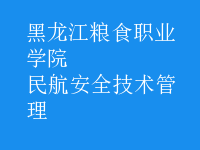 民航安全技術(shù)管理