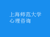 心理咨詢(xún)