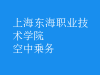 空中乘務(wù)