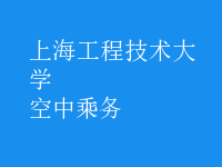 空中乘務(wù)