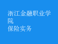 保險(xiǎn)實(shí)務(wù)