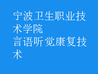 言語聽覺康復技術