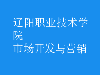 市場(chǎng)開發(fā)與營(yíng)銷