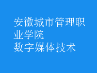 數(shù)字媒體技術(shù)