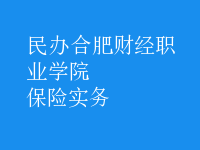 保險(xiǎn)實(shí)務(wù)