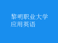 應(yīng)用英語