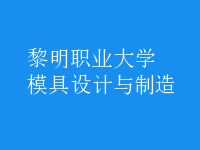 模具設(shè)計與制造