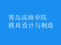 模具設(shè)計(jì)與制造