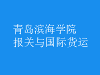 報(bào)關(guān)與國際貨運(yùn)