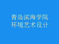 環(huán)境藝術(shù)設(shè)計(jì)