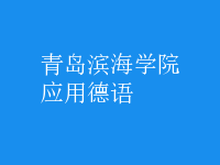 應(yīng)用德語(yǔ)