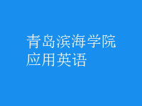 應(yīng)用英語