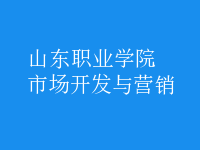 市場(chǎng)開發(fā)與營(yíng)銷