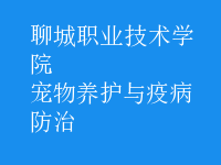 寵物養(yǎng)護與疫病防治