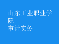 審計實(shí)務(wù)