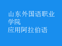 應(yīng)用阿拉伯語