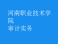 審計實(shí)務(wù)