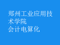 會(huì)計(jì)電算化