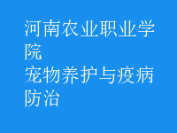 寵物養(yǎng)護與疫病防治