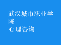 心理咨詢(xún)