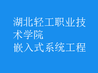 嵌入式系統(tǒng)工程