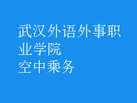 空中乘務(wù)