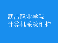 計(jì)算機(jī)系統(tǒng)維護(hù)