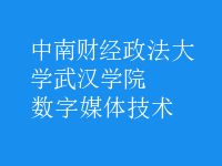 數(shù)字媒體技術(shù)