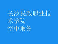 空中乘務(wù)