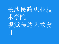 視覺傳達藝術(shù)設計