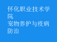 寵物養(yǎng)護與疫病防治