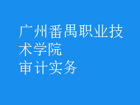 審計實(shí)務(wù)