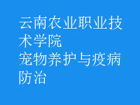 寵物養(yǎng)護與疫病防治