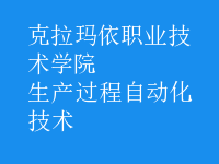 生產(chǎn)過程自動化技術(shù)