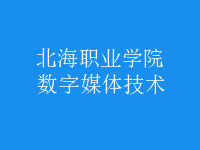 數(shù)字媒體技術(shù)