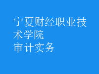 審計實(shí)務(wù)