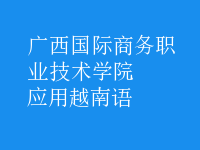 應(yīng)用越南語