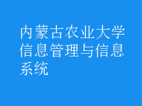 信息管理與信息系統(tǒng)