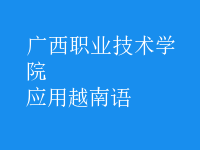 應(yīng)用越南語