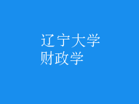 財(cái)政學(xué)