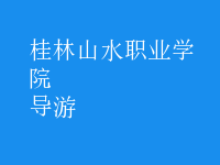 導(dǎo)游