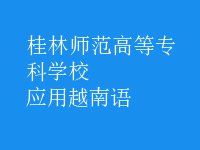 應(yīng)用越南語