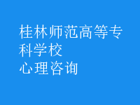 心理咨詢(xún)