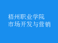 市場(chǎng)開發(fā)與營(yíng)銷