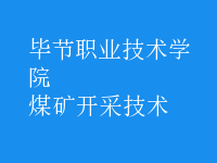 煤礦開采技術(shù)