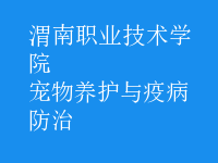 寵物養(yǎng)護與疫病防治