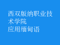 應(yīng)用緬甸語